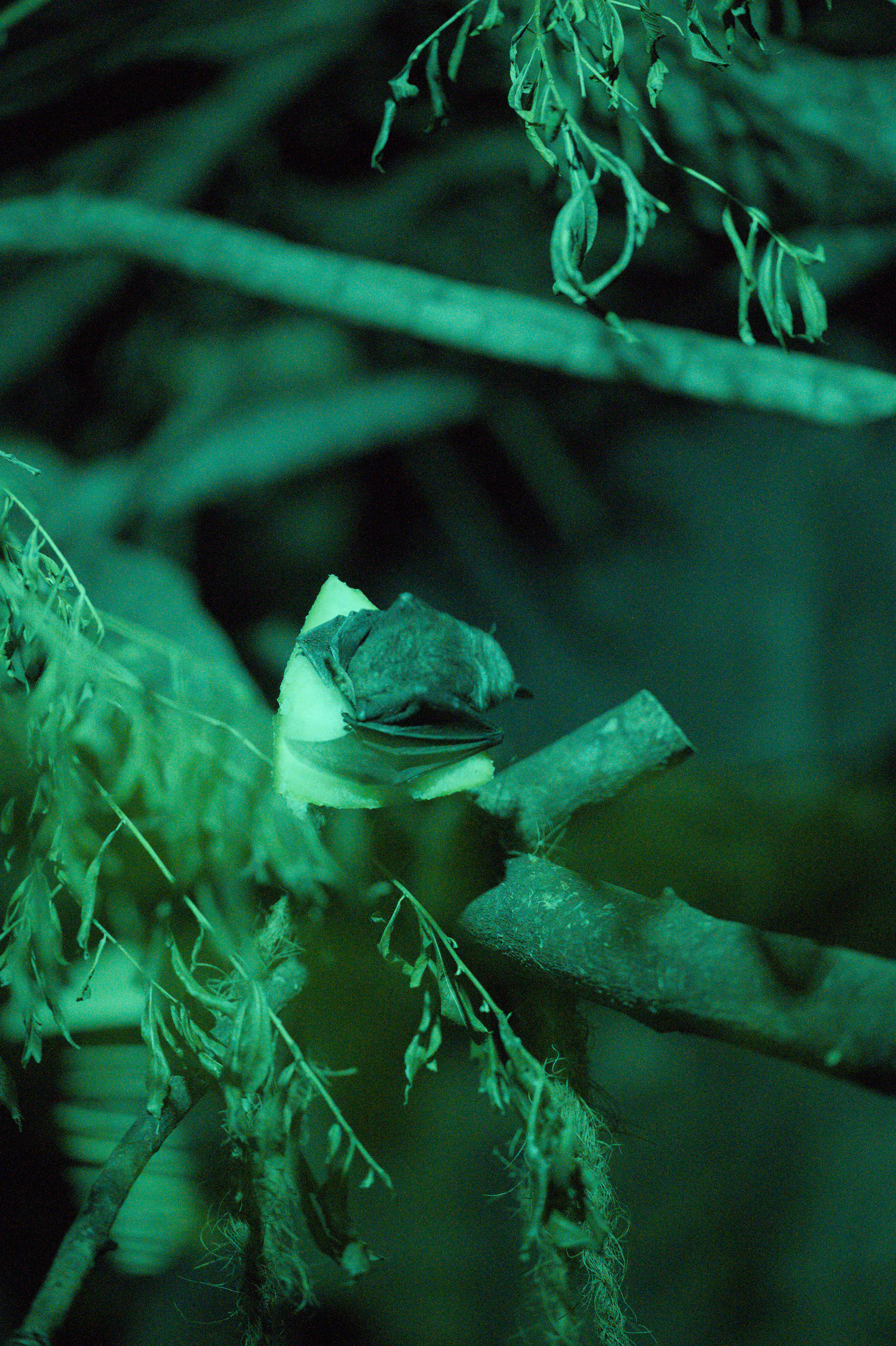 2025/10/12 - zoo/DSC_0280.jpg